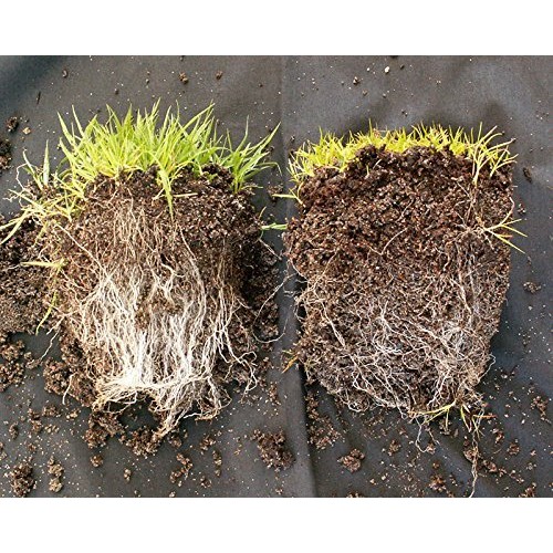 Wildroot Organic Mycorrhizal Fungi Concentrate 16 Species Endo &...