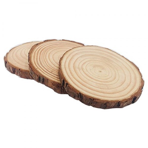 Unfinished Natural Wood Slices 12 Pcs 3.5-4 inch Craft Wood kit Ci...