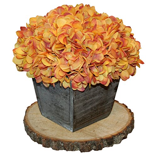 Basswood Round Unsanded, Pack of 4, 7-9 inch Diameter x 1 inch Thick