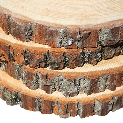 Basswood Round Unsanded, Pack of 4, 7-9 inch Diameter x 1 inch Thick