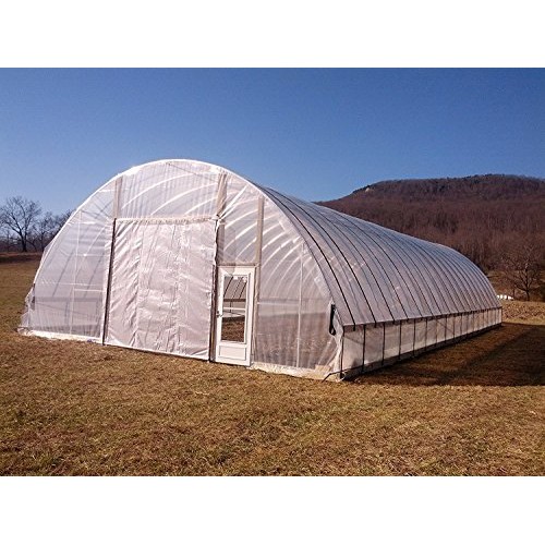 Greenhouse Film Clear 6 mil, 4 year, polyethylene plastic, 10ft x ...