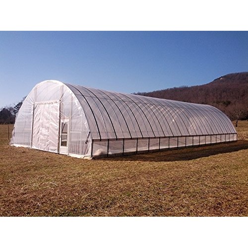 Wilson Orchard & Vineyard Supply Greenhouse Film Clear 6 mil, 4 Ye...