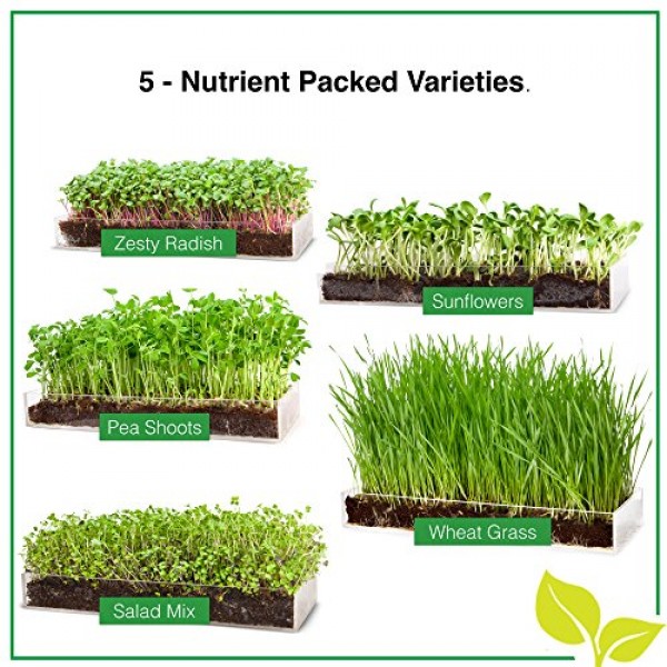 Microgreen Assortment 5 Pack Refill - Pre-Measured Soil + Seed, US...