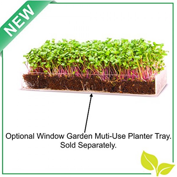 Microgreen Zesty 3 Pack Refill – Pre-measured Soil + Seed, Use wit...
