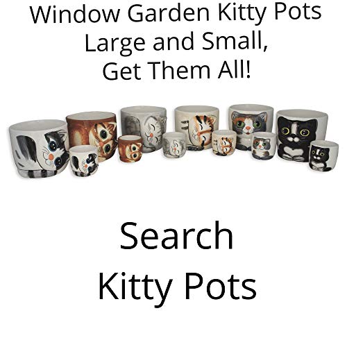 Window Garden - Cat Grass Growing Kit with Kitty Pot Planter - Pur...