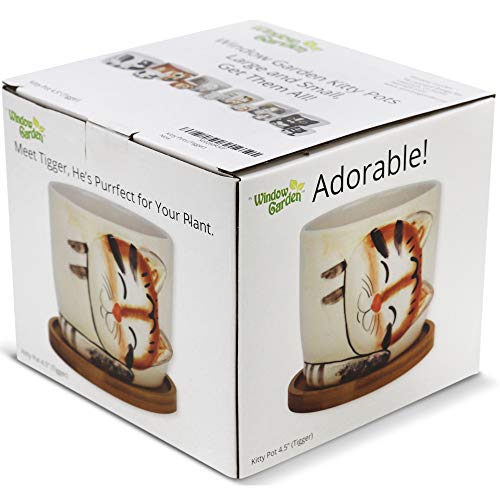 Window Garden - Cat Grass Growing Kit with Kitty Pot Planter - Pur...