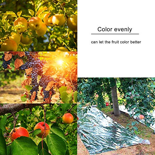 winemana 6 Pack High Silver Reflective Mylar Film, 83x 63 in, High...