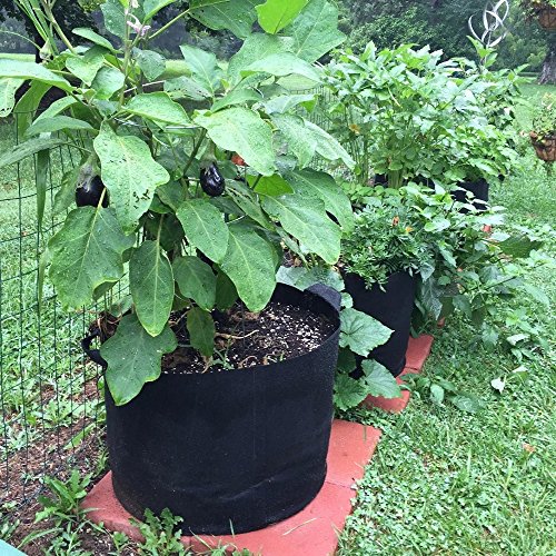 Winner Outfitters 6-Pack 7 Gallon Grow Bags /Aeration Fabric Pots ...