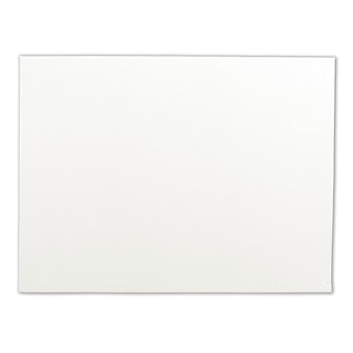 Winsor & Newton Artists Canvas Board, 16 x 20