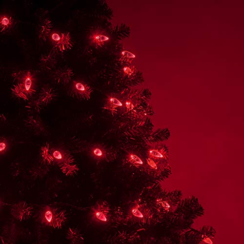 70 C6 Red LED String Lights, 24 Ft, Indoor-Outdoor Christmas Strin...