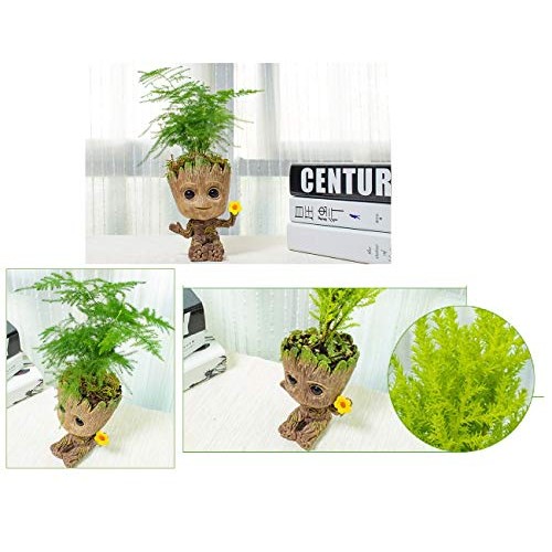 WISE MODEL Baby Groot Planter Treeman Action Figures Guardians of ...