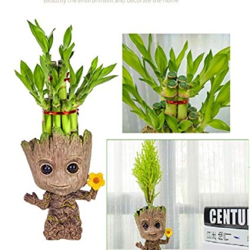 WISE MODEL Baby Groot Planter Treeman Action Figures Guardians of ...