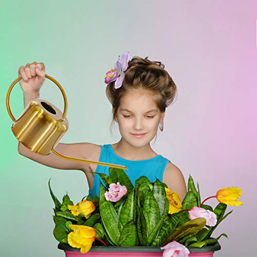 Wistwoxxon Metal Watering Can, 40 oz Copper Watering Can Indoor Ou...