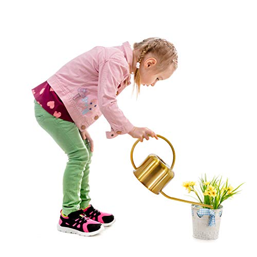 Wistwoxxon Metal Watering Can, 40 oz Copper Watering Can Indoor Ou...