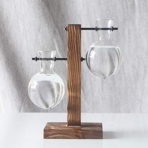 Glass Planter Bulb Vase, Desktop Plant Terrarium Glass Planter Bul...