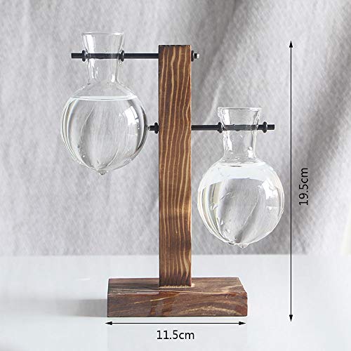 Glass Planter Bulb Vase, Desktop Plant Terrarium Glass Planter Bul...