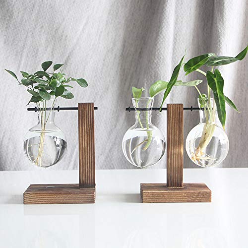 Glass Planter Bulb Vase, Desktop Plant Terrarium Glass Planter Bul...