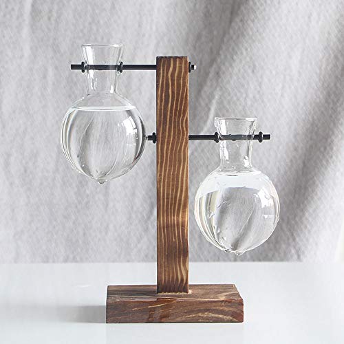 Glass Planter Bulb Vase, Desktop Plant Terrarium Glass Planter Bul...