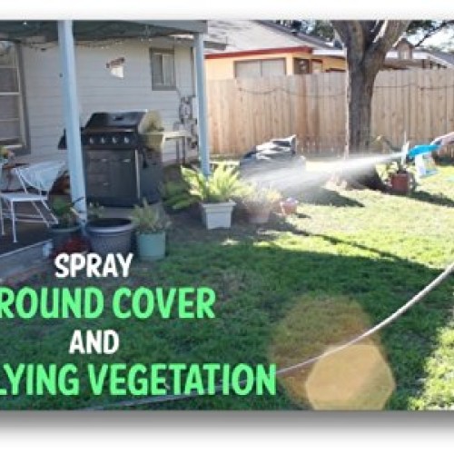 Wondercide Natural Flea & Tick Control Concentrate for Yard Gard...