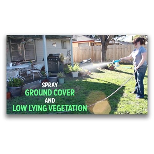 Wondercide Natural Flea & Tick Control Concentrate for Yard Gard...