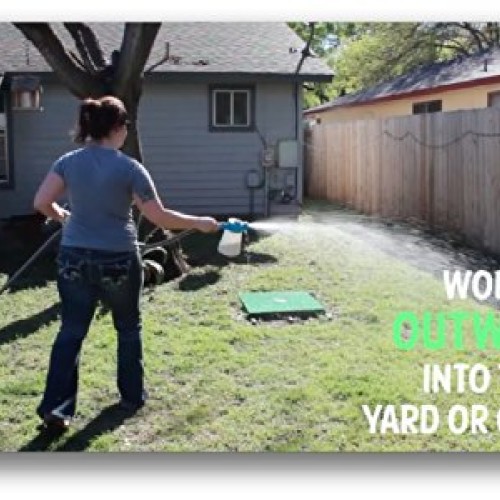 Wondercide Natural Flea & Tick Control Concentrate for Yard Gard...