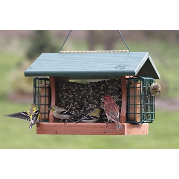 Woodlink Going Green Large Premier Bird Feeder With Suet Cages Mo...