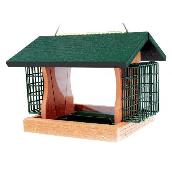 Woodlink Going Green Large Premier Bird Feeder With Suet Cages Mo...