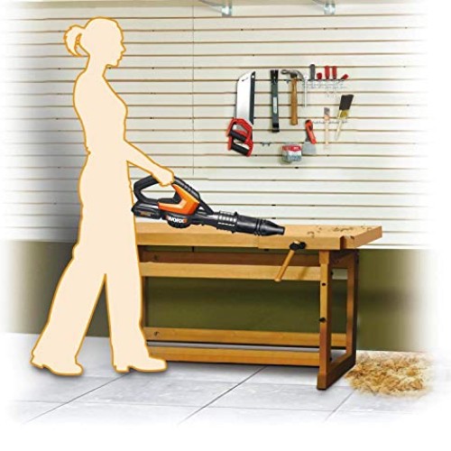 WORX Outdoor Tool Package with 12 Inch 20 Volt Li-Ion Cordless Str...