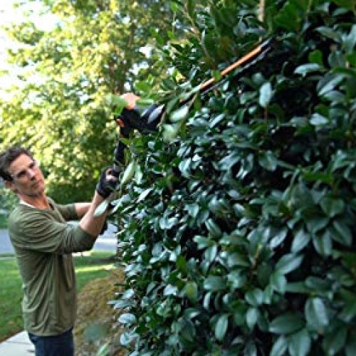 WORX WG252 20V Power Share Pole Hedge Trimmer 20, Battery and Cha...