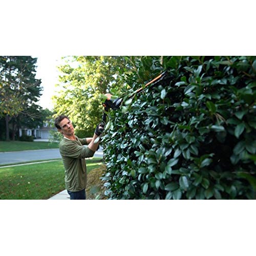 WORX WG252 20V Power Share Pole Hedge Trimmer 20, Battery and Cha...