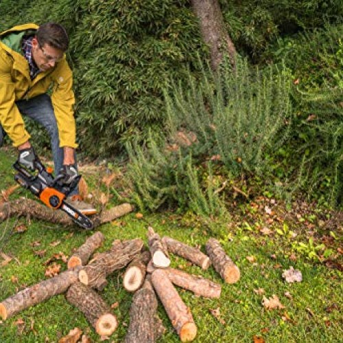 Worx WG322 20V Power Share Cordless 10-inch Chainsaw with Auto-Ten...
