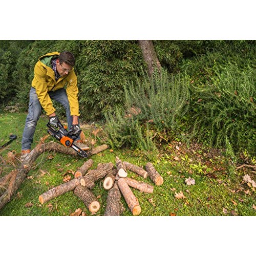 Worx WG322 20V Power Share Cordless 10-inch Chainsaw with Auto-Ten...