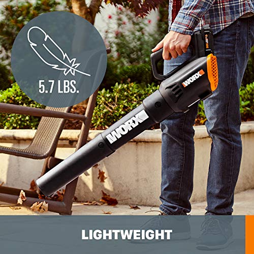 WORX WG928 GT 3.0 Grass Turbine 2 20V Batt/Charger Included String...