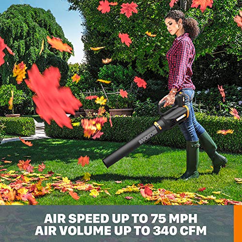 WORX WG928 GT 3.0 Grass Turbine 2 20V Batt/Charger Included String...