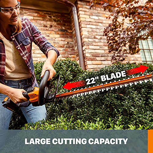 WORX WG931 20V Power Share Cordless Grass, Hedge Trimmer, and Blow...