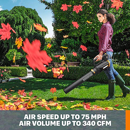 WORX WG931 20V Power Share Cordless Grass, Hedge Trimmer, and Blow...