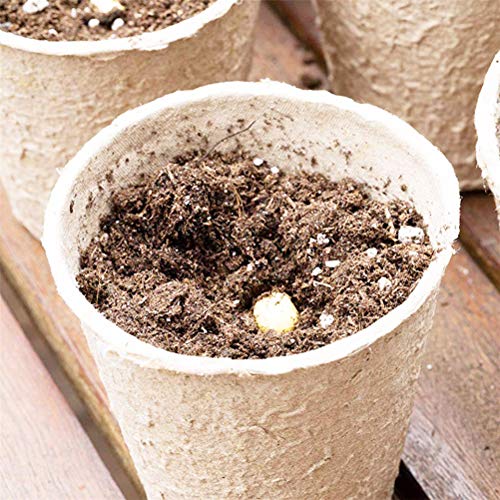 Wouier Seed Pots,Plant Starter Pots,Peat Pots Seedling Herb Seed S...
