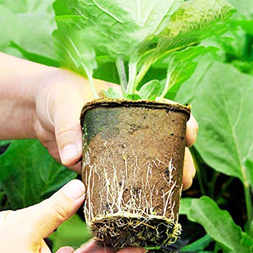 Wouier Seed Pots,Plant Starter Pots,Peat Pots Seedling Herb Seed S...