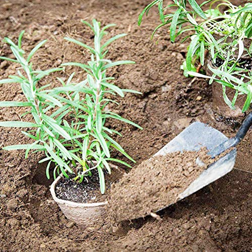 Wouier Seed Pots,Plant Starter Pots,Peat Pots Seedling Herb Seed S...