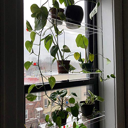 Hanging Plant Shelf, Clear Hanging Acrylic 2-Tier/3-Tier Planter S...