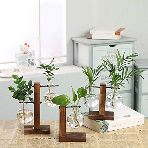 WUWEOT 3 Pack Air Planter Glass Planter Bulb Vase, Air Plant Terra...