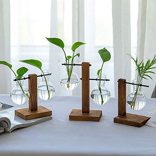 WUWEOT 3 Pack Air Planter Glass Planter Bulb Vase, Air Plant Terra...