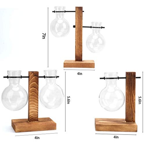 WUWEOT 3 Pack Air Planter Glass Planter Bulb Vase, Air Plant Terra...