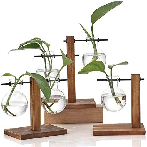 WUWEOT 3 Pack Air Planter Glass Planter Bulb Vase, Air Plant Terra...