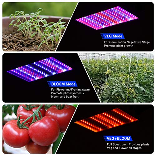 WZDRAGON 1000W LED Grow Lights Double Chips Full Spectrum for Gree...