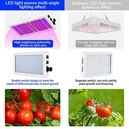 WZDRAGON 1000W LED Grow Lights Double Chips Full Spectrum for Gree...