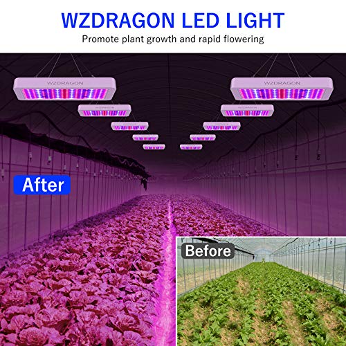 WZDRAGON 1000W LED Grow Lights Double Chips Full Spectrum for Gree...