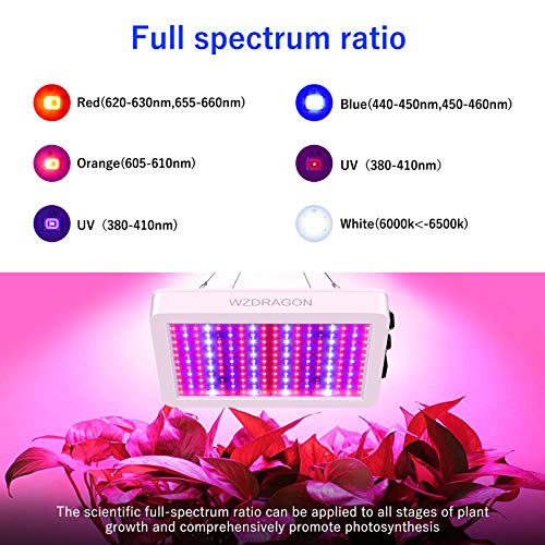 WZDRAGON 1000W LED Grow Lights Double Chips Full Spectrum for Gree...