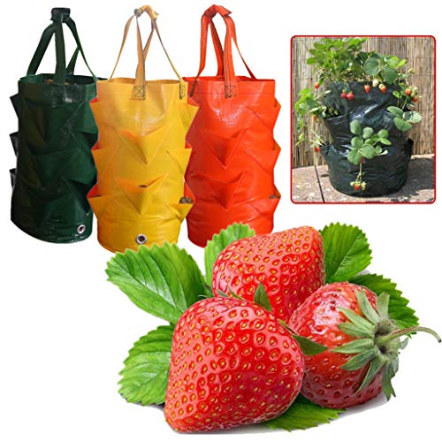 XBKPLO Garden Planting Bag Grow Felt Fabric Planter Bag Gardens Ha...