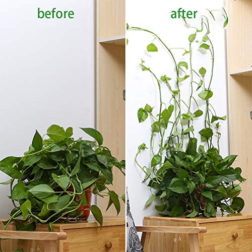 xiaopingguo Plant Climbing Wall Fixture Clips Vine Plant Climbing ...